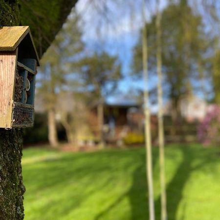Le Clos Du Clocher Gueudecourt Eksteriør billede